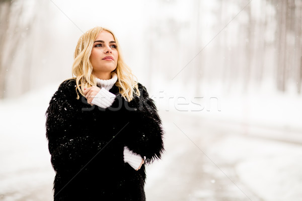 Blonde woman outside in snow winter coat Stock photo © boggy