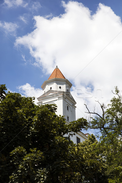 ブラチスラバ 城 スロバキア 表示 建物 風景 ストックフォト © boggy