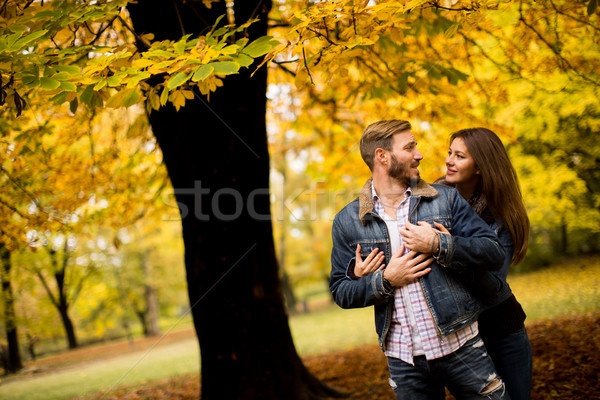 Liebevoll Paar Herbst Park Zärtlichkeit Frau Stock foto © boggy