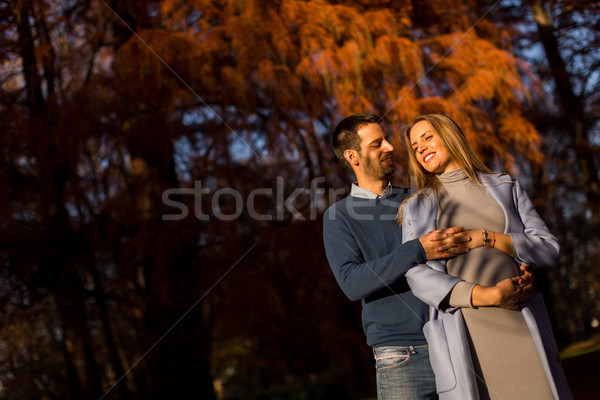 Stockfoto: Gelukkig · paar · najaar · park · zwangere · vrouw · man