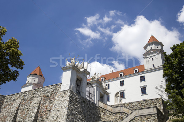 Castillo Eslovaquia primer plano arquitectura blanco torre Foto stock © boggy