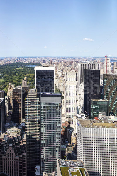 View at Central Park and Manhatten, New York, United States Stock photo © boggy