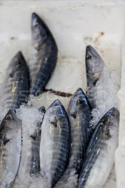 Fresh seafood Stock photo © boggy