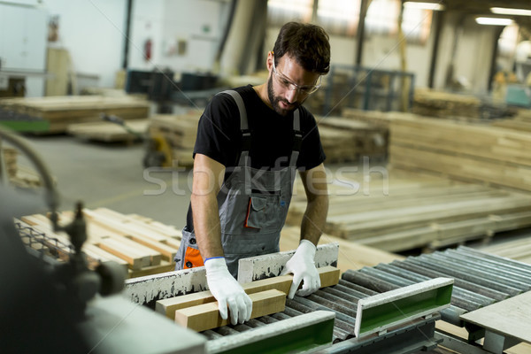 Bello giovane lavoro legname fabbrica mobili Foto d'archivio © boggy