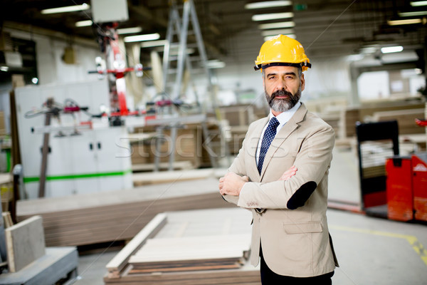 Middle-aged businessman in factory Stock photo © boggy