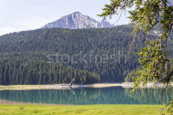 Schwarz See Berg Montenegro Ansicht Wasser Stock foto © boggy