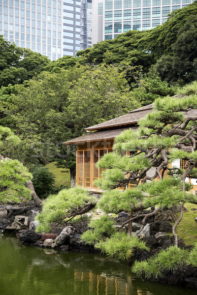 Gärten Tokyo Japan Detail Stadt Natur Stock foto © boggy