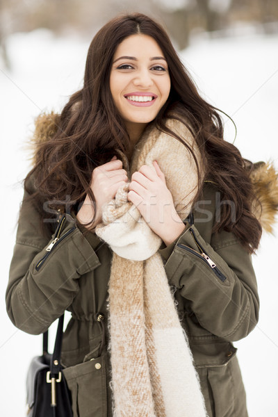 Pretty young woman on a winter day Stock photo © boggy