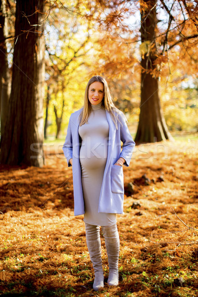 Foto stock: Mujer · embarazada · posando · parque · otono · forestales · naturaleza