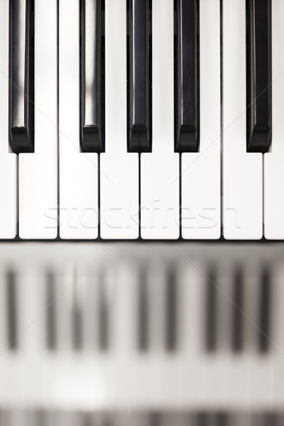 Piano keyboard Stock photo © boggy