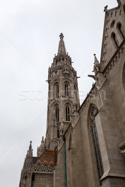 Detail of the Stephansdom cathedral in Vienna Stock photo © boggy