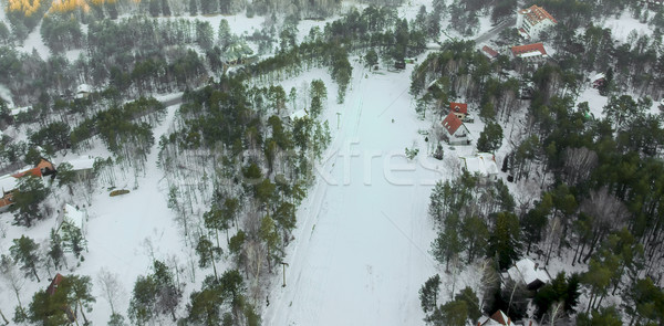Luftbild Serbien Winter Zeit Baum Natur Stock foto © boggy