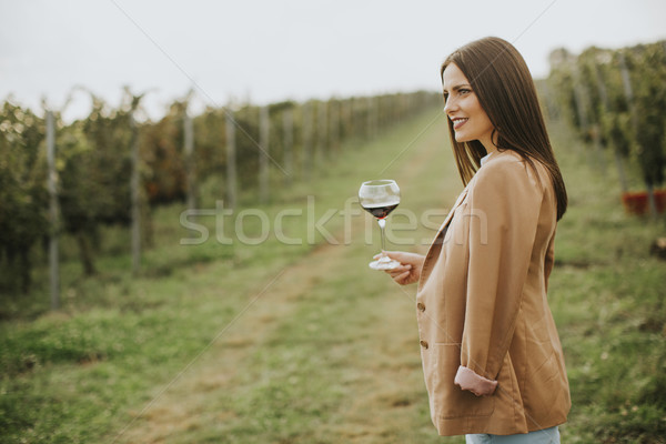Woman with glass of wine in vineyard Stock photo © boggy
