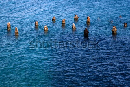 Old wooden pillars in the sea Stock photo © boggy