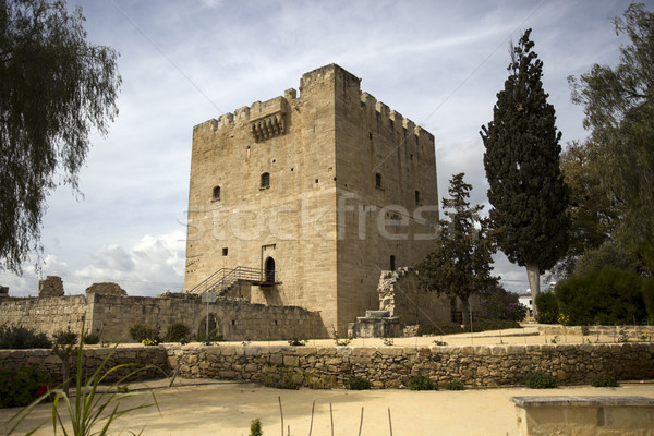 Kolossi castle on Cyprus Stock photo © boggy