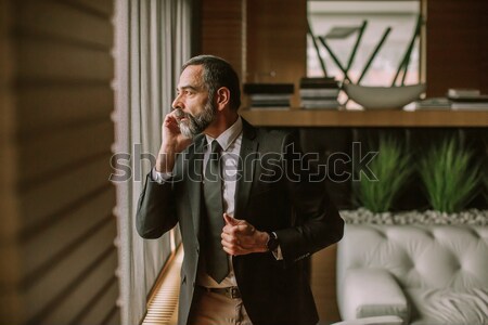 Foto stock: Retrato · senior · empresário · celular · moderno · escritório