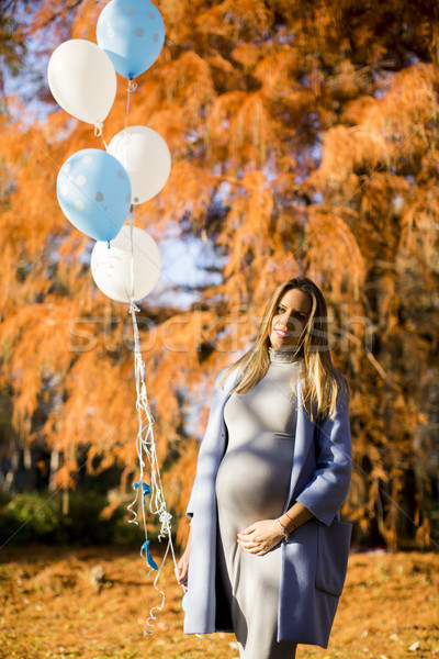 Foto stock: Jóvenes · mujer · embarazada · globos · otono · parque · bastante