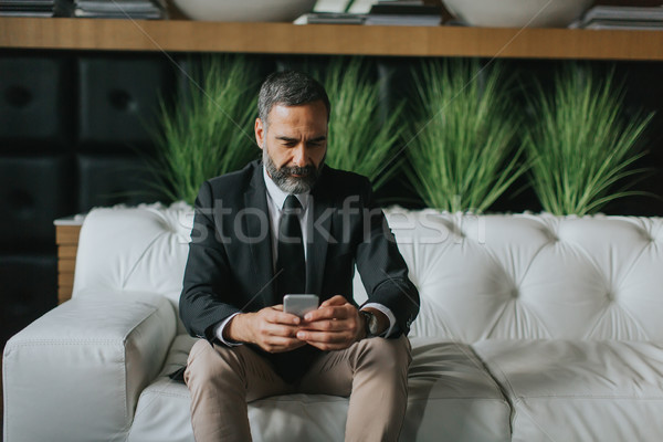 Middle-aged businessman using mobile phone in modern office on s Stock photo © boggy
