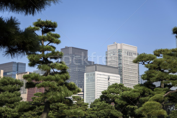 Beautiful green park garden with city view inTokyo, Japan Stock photo © boggy