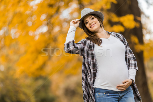 Stockfoto: Jonge · zwangere · vrouw · najaar · park · boom · gezicht