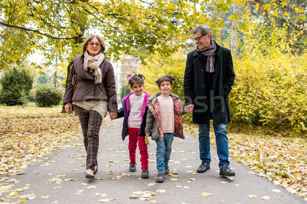 Nagyszülők unokák ősz park boldog sétál Stock fotó © boggy