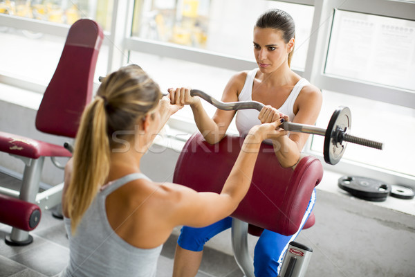 Ziemlich junge Frauen Krafttraining Fitnessstudio Frauen glücklich Stock foto © boggy