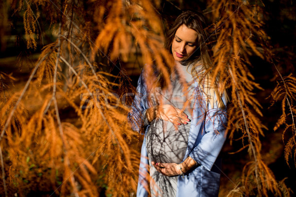 Femme enceinte jeunes posant automne parc femme [[stock_photo]] © boggy