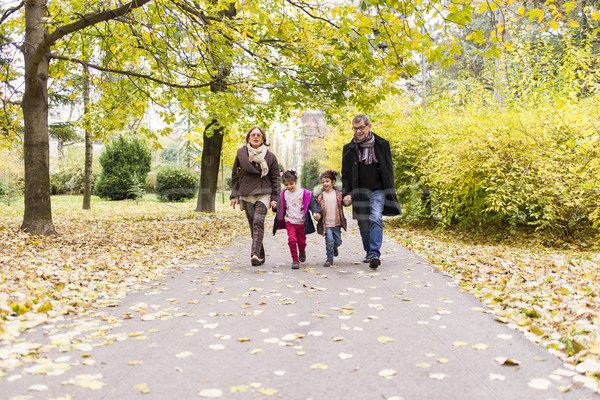 Nagyszülők unokák ősz park boldog sétál Stock fotó © boggy