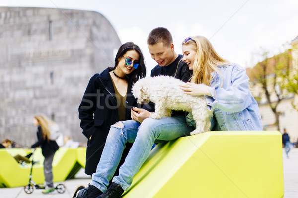 Jugendlichen wenig Hund Freien städtischen Stock foto © boggy