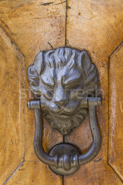 Detail of the vintage door knocker Stock photo © boggy