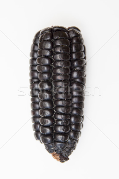 Purple corn isolated on white background Stock photo © boggy