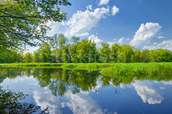 Summer landscape with Narew river and clouds on the blue sky Stock photo © bogumil