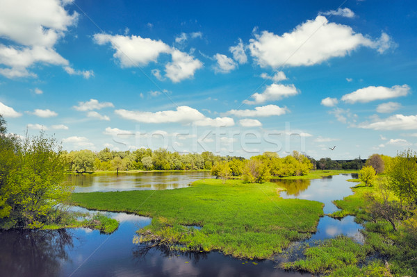 River flood waters background, Narew, Poland Stock photo © bogumil