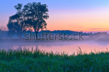 Beautiful foggy dawn over the Narew river.  Stock photo © bogumil