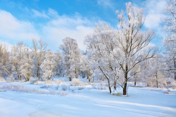 Stock photo: Beautiful snowy landscape by the Narew river valley.