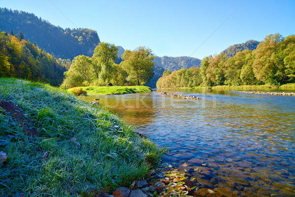 Mountain landscape with Dunajec river and frozen grass. Stock photo © bogumil