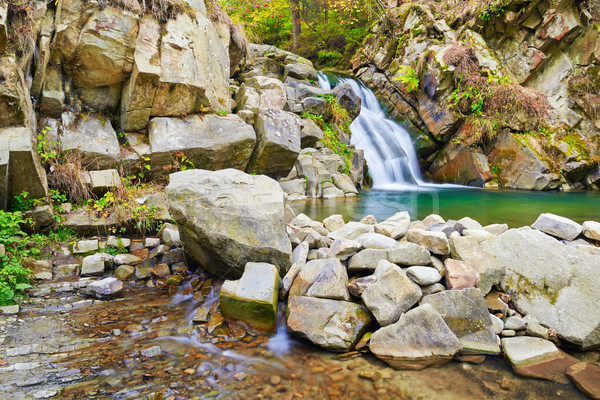 Cascata montagna Polonia acqua foresta panorama Foto d'archivio © bogumil