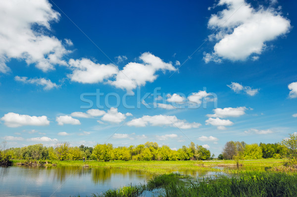 Lagoa papel de parede Polônia água árvore grama Foto stock © bogumil