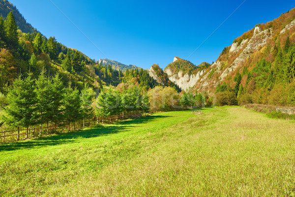 Ensolarado paisagem montanhas ver Eslováquia Foto stock © bogumil