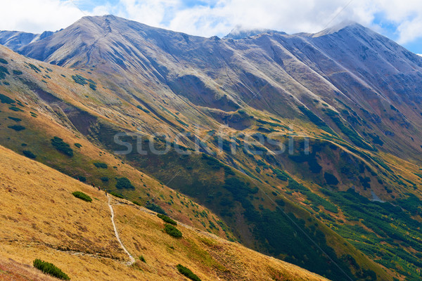 Góry widoku szlak charakter krajobraz lata Zdjęcia stock © bogumil