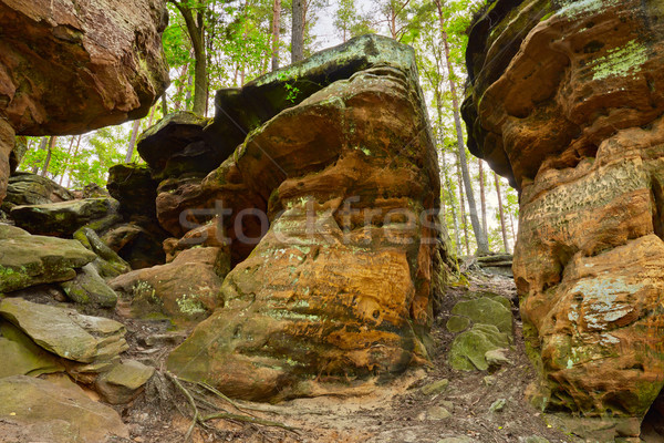 Beauty of Earth. The Hell Rocks near Nieklan, Poland. Stock photo © bogumil