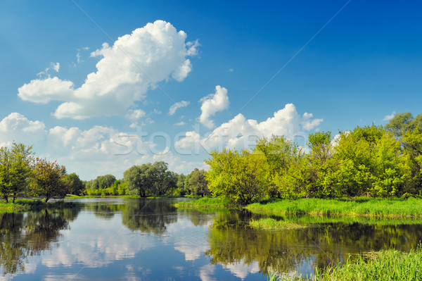 Frumos peisaj tapet inundaţie râu Polonia Imagine de stoc © bogumil