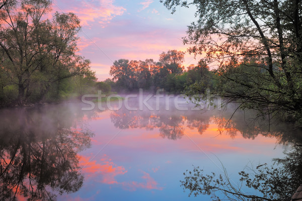 Chaud rose ciel rivière Pologne matin Photo stock © bogumil