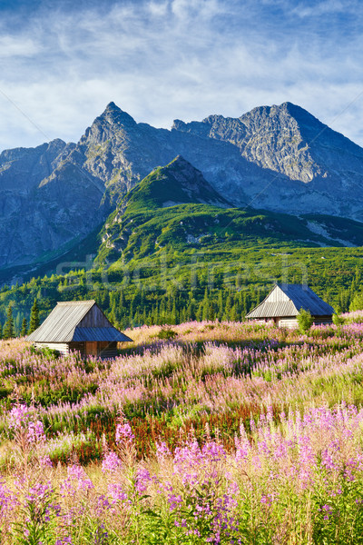 Stockfoto: Hoog · bergen · top · landschap · natuur · Polen