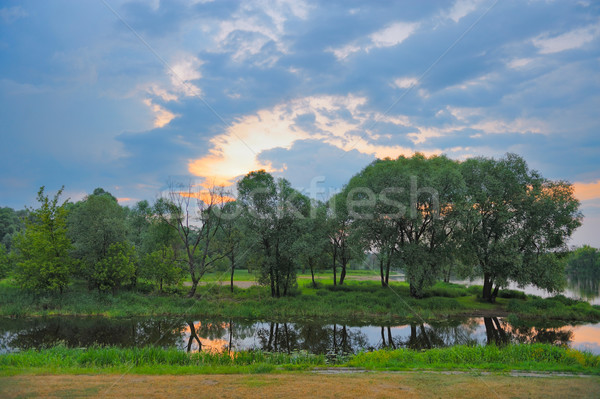 Twilight spring landscape with flood waters. Stock photo © bogumil