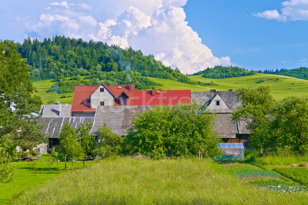 住宅 山 国 ポーランド スロバキア 国境 ストックフォト © bogumil