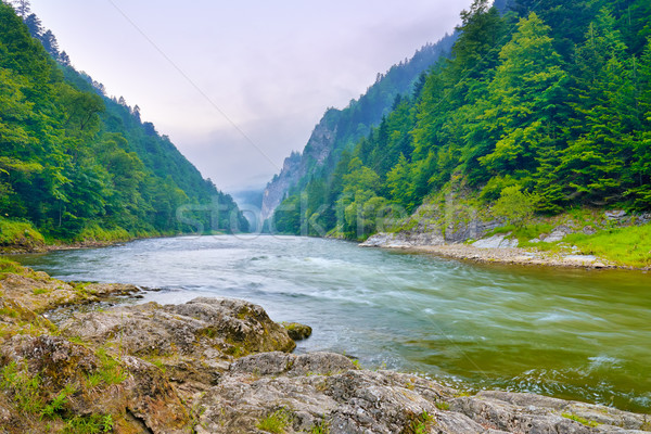 The gorge of mountain river in the morning Stock photo © bogumil