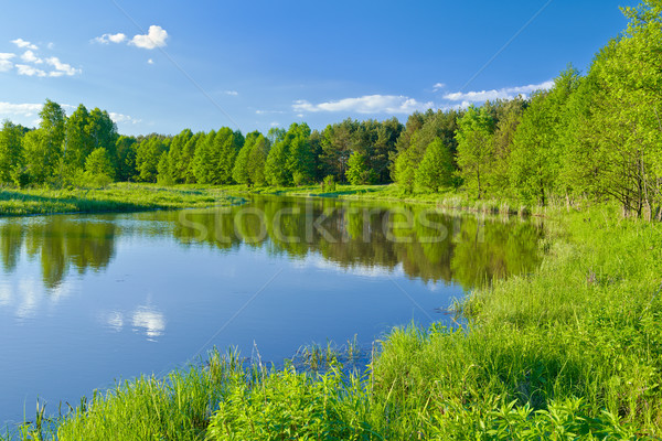 último paisagem rio água árvore Foto stock © bogumil