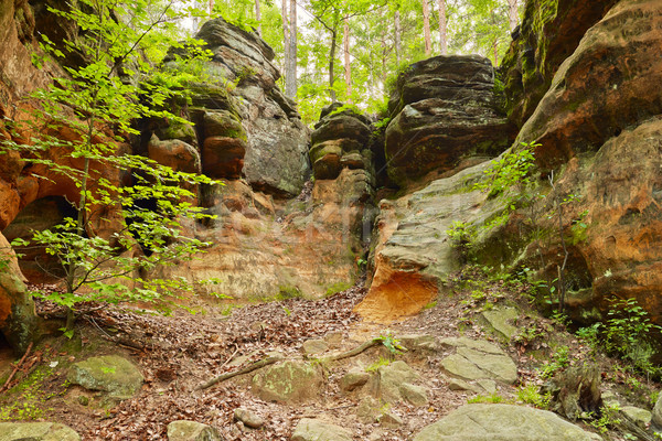 Old weathered rocks background.The Hell Rocks near Nieklan, Pola Stock photo © bogumil
