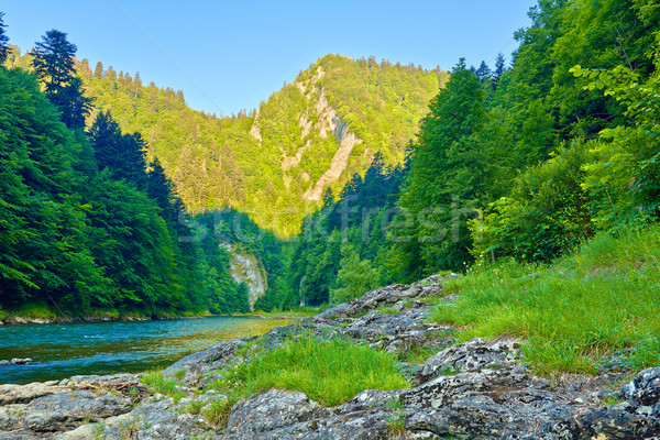 Stok fotoğraf: Kayalar · sabah · nehir · güzel · bahar · çim